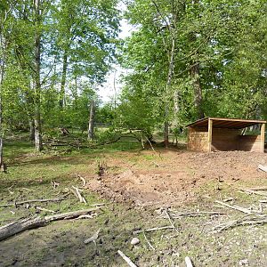 2-Acre Wild Boar Enclosure