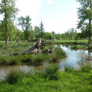 2-Acre Moose Enclosure