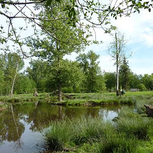 2-Acre Moose Enclosure
