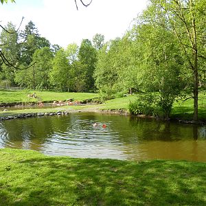 2-Acre Guanaco/Rhea/Flamingo/Black Swan Enclosure