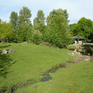Capybara/Mara Enclosure