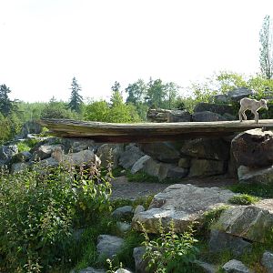 Bighorn Sheep Enclosure