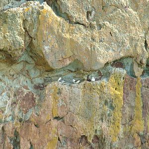 South Stack, Anglesey 16/05/10
