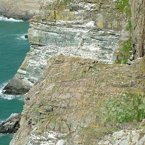 South Stack, Anglesey 16/05/10