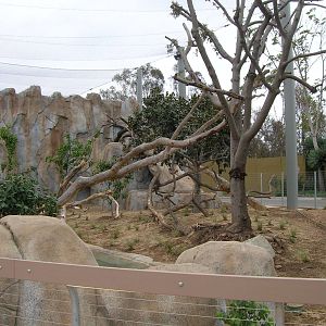 Jaguar exhibit construction - Elephant Odyssey 2009