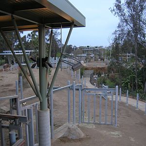 Elephant Odyssey 2009