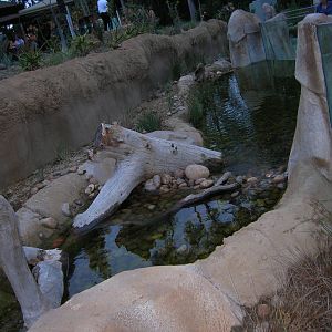 Rocky Stream Exhibit - Elephant Odyssey 2009