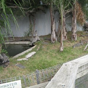 Crocodile enclosure