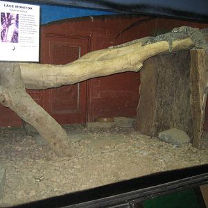 Lace Monitor enclosure