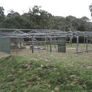 New walkthrough Aviary