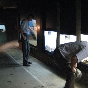 Reptile house interior