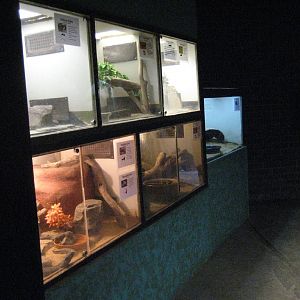 Reptile House interior