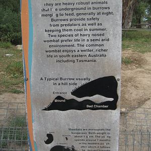 Wombat signage