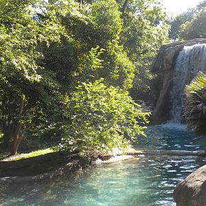 River habitat waterfall
