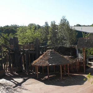 Giants of the Savanna