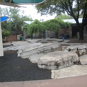 Children's Zoo - stream