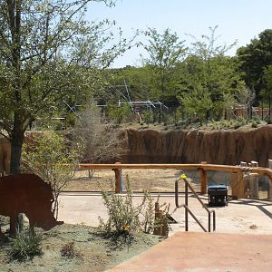 Giants of the Savanna - Warthog and Red River Hog exhibits