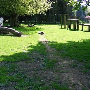 Pygmy goat enclosure at Camperdown Wildlife Centre, 18 May 2010