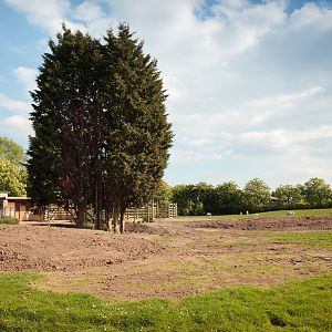 Scimitar-Horned Oryx / Grevy's Zebra Paddock