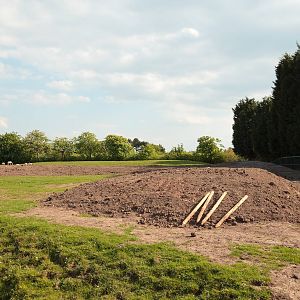 Scimitar-Horned Oryx / Grevy's Zebra Paddock