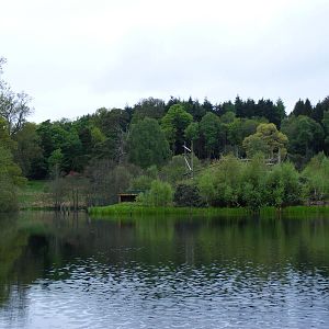 Chimp Island enclosure at Blair Drummond Safari Park, 19 May 2010