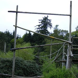Chimp Island enclosure at Blair Drummond Safari Park, 19 May 2010