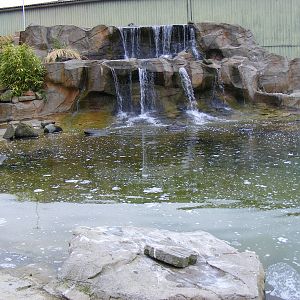Humboldt penguin enclosure at Blair Drummond Safari Park, 19 May 2010