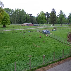 View of farm paddocks at Blair Drummond Safari Park, 19 May 2010