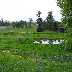 Amur tiger enclosure at Blair Drummond Safari Park, 19 May 2010