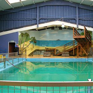 Californian sea lion display pool at Blair Drummond Safari Park, 19 May 201
