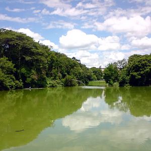 Zoologico Municipal Sorocaba - Lake