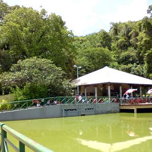Zoologico Municipal Sorocaba - Restaurant