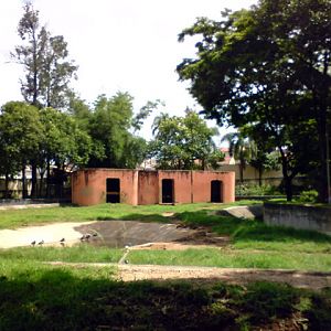 Zoologico Municipal Sorocaba - Elephants