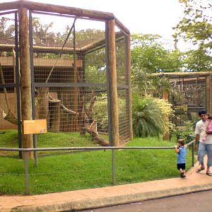 Zoologico Municipal Sorocaba - Monkey cages