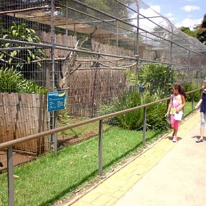 Zoologico Municipal Sorocaba - Cracid