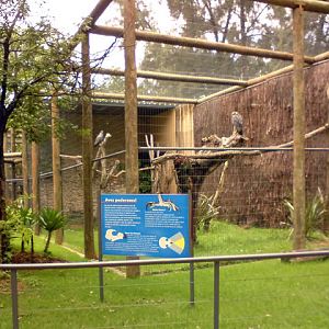 Zoologico Municipal Sorocaba - Birds of Prey