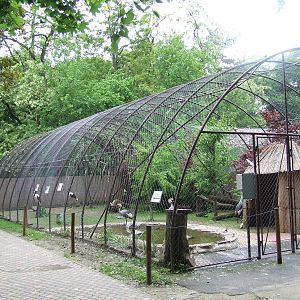 Aviary