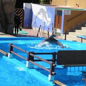 Dolphin Holding Pen, Marineland Mallorca, April 2007