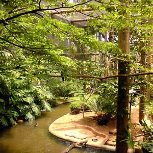Zoologico Municipal Sorocaba - Aviary