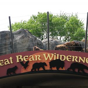 Great Bear Wilderness - American Bison Exhibit - Bison above Tunnel