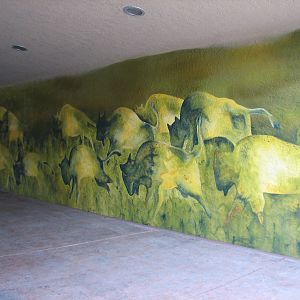Great Bear Wilderness - American Bison Exhibit - Tunnel