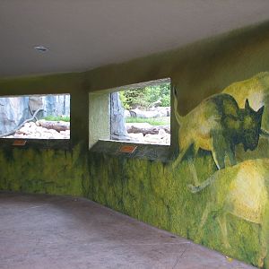Great Bear Wilderness - American Bison Exhibit - Tunnel Viewing Area