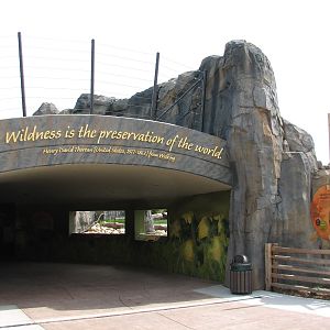 Great Bear Wilderness - American Bison Exhibit - Tunnel Exit