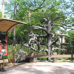 Great Bear Wilderness - Bald Eagle Exhibit