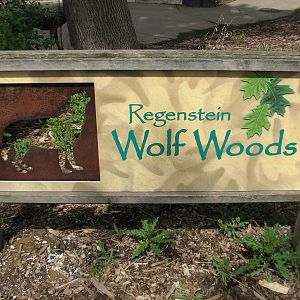 Great Bear Wilderness - Wolf Woods - Sign