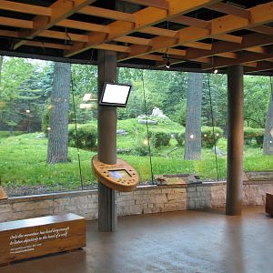 Great Bear Wilderness - Wolf Woods - Viewing Building Interior