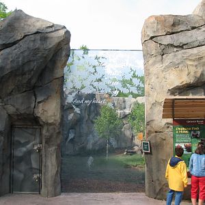 Great Bear Wilderness - Grizzly Bear Exhibit - First Outdoor Viewing Area