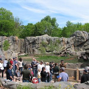 Great Bear Wilderness - Grizzly Bear Exhibit - Second Outdoor Viewing Area