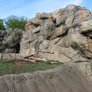 Great Bear Wilderness - Grizzly Bear Exhibit