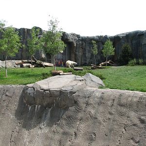 Great Bear Wilderness - First Polar Bear Exhibit - First Outdoor Viewing Ar